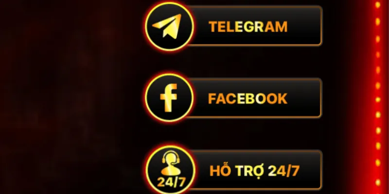 Phương thức liên hệ Vip79