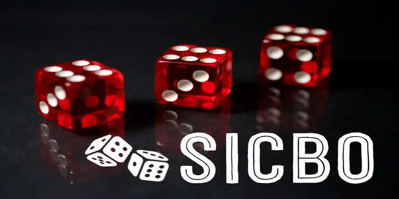 Tìm hiểu luật chơi trước khi nghiên cứu công thức đánh Sicbo